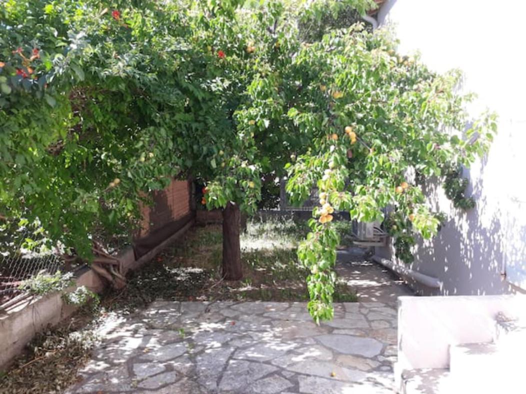Le Galli En Plein Coeur De Sanary ภายนอก รูปภาพ